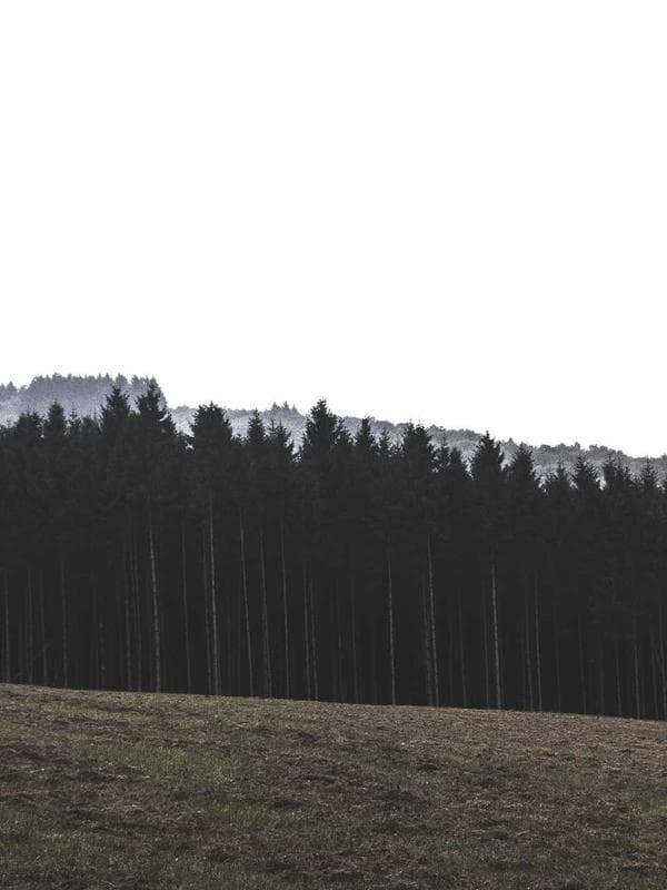 Me explaining to my boss why I need a 3-hour lunch break 🍽️ #office #relatable