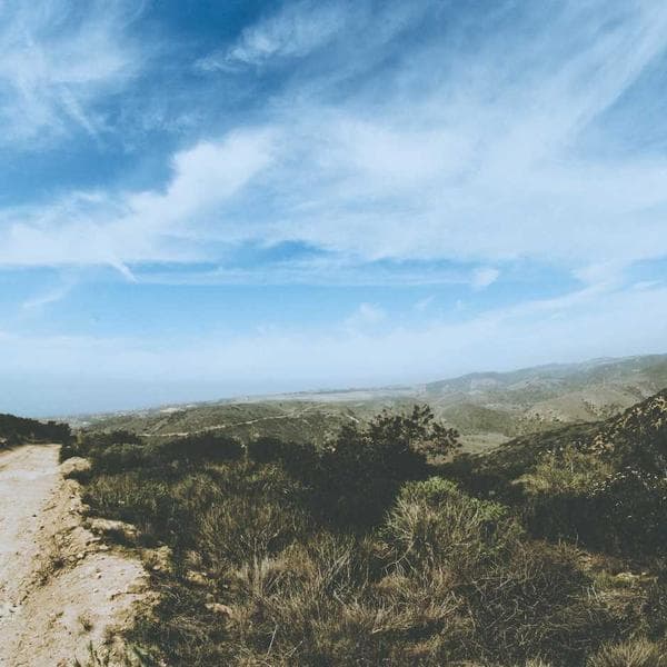 Shah Rukh Khan spreading his arms: me when mom says she made biryani 🍚 #bollywood