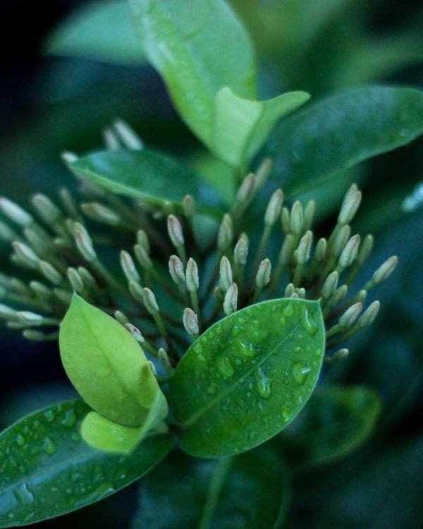 IPL season is not just a tournament, it's a family thing 🏏💜 #cricket #ipl